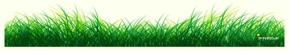 Footer Gras