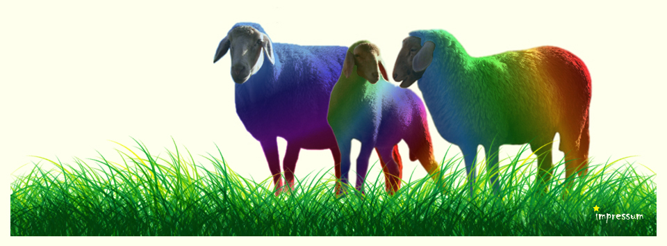 Footer Schafe im Gras